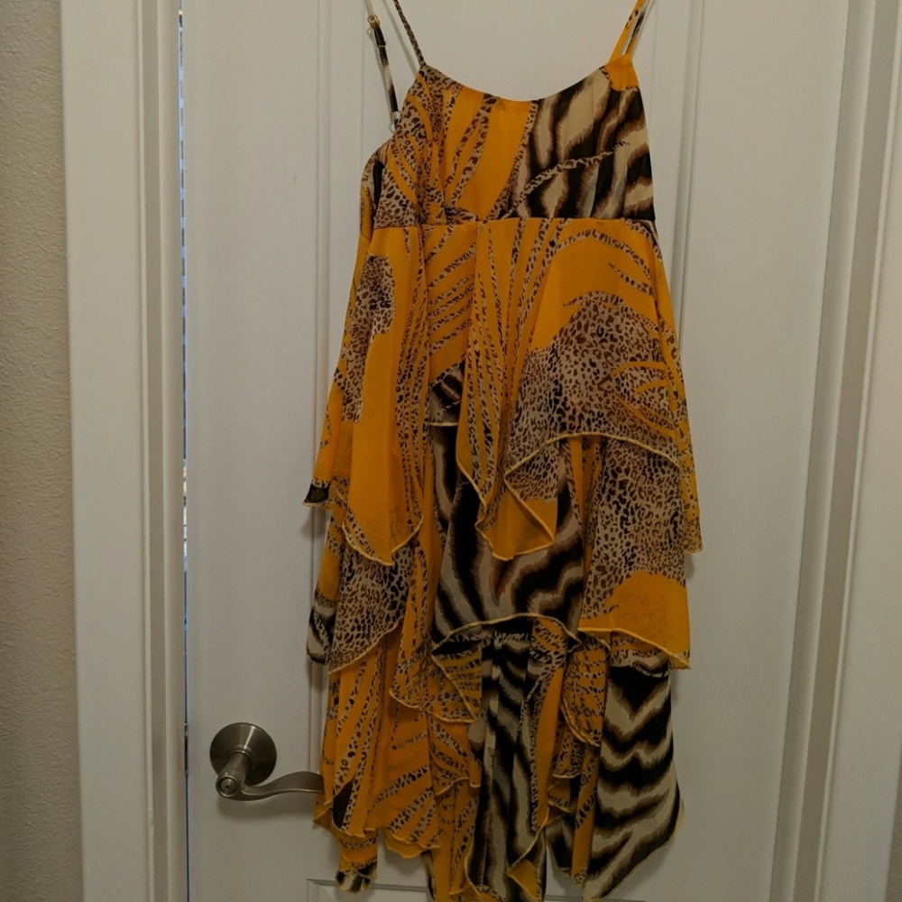 Dress worn once